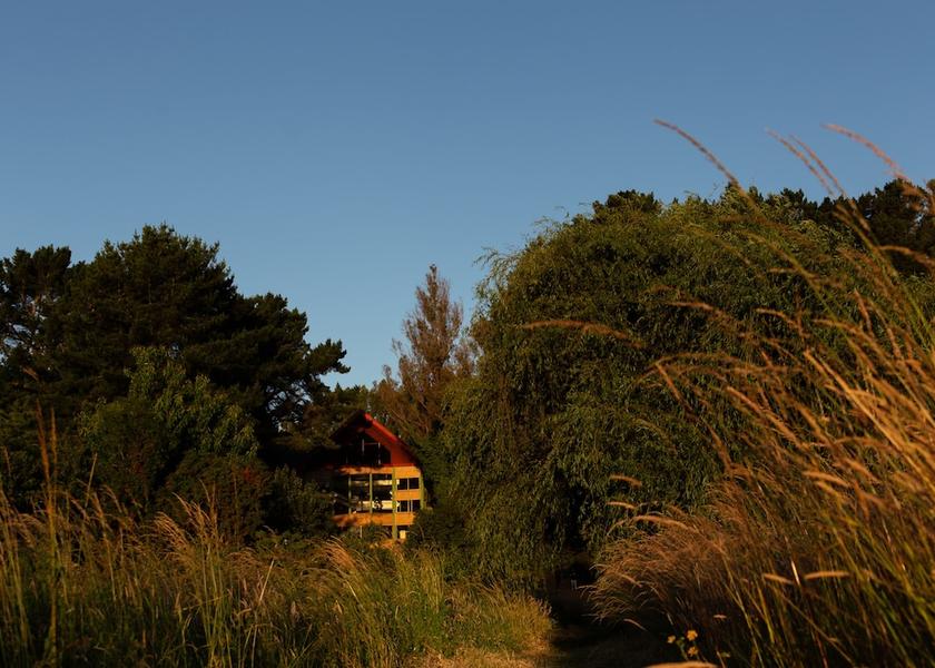 Los Rios (region) Valdivia Garden