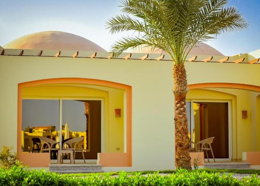 Red Sea Governorate Marsa Alam 
