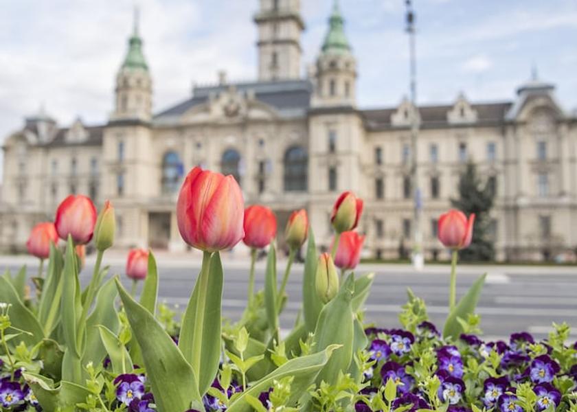  Gyor Point of interest