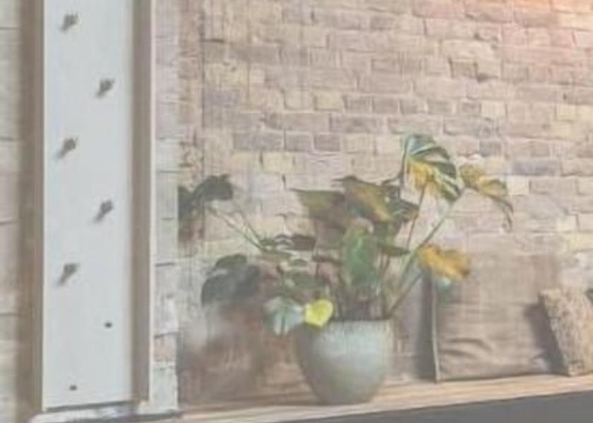 Flemish Region Ostend Lobby