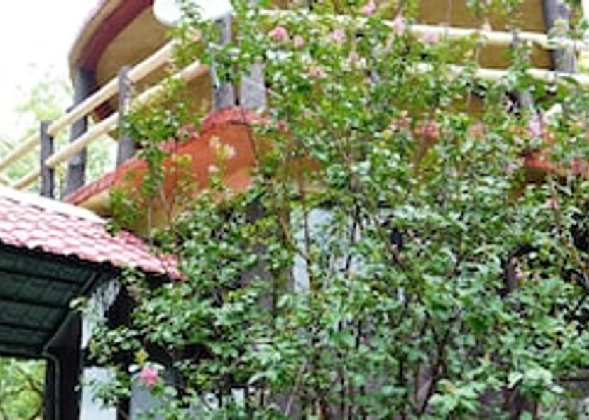 Madhya Pradesh Madai Outdoors