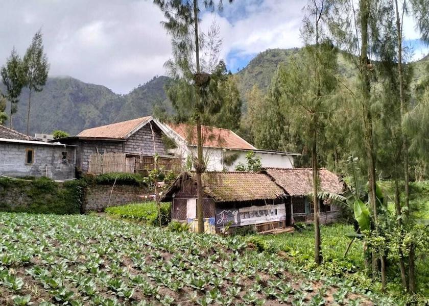 East Java Ngadisari Property Grounds