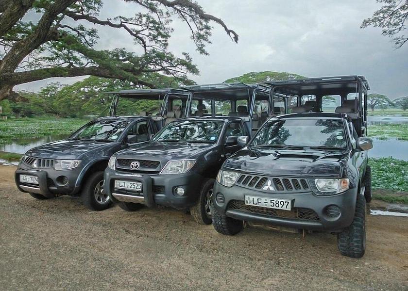 Hambantota District Tissamaharama Safari and game