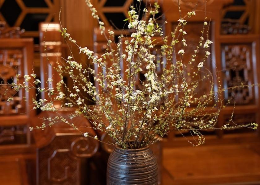 Quang Ngai Quang Ngai Reception