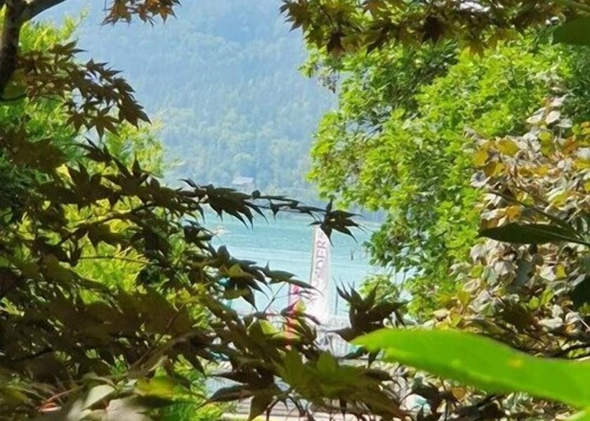 Carinthia Poertschach am Woerthersee Primary image