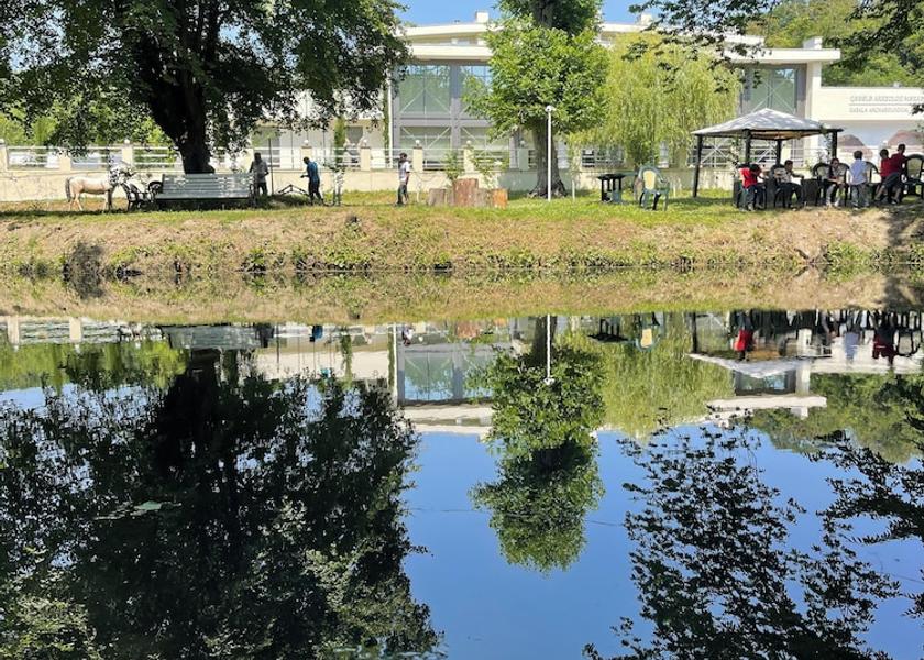  Gabala Garden