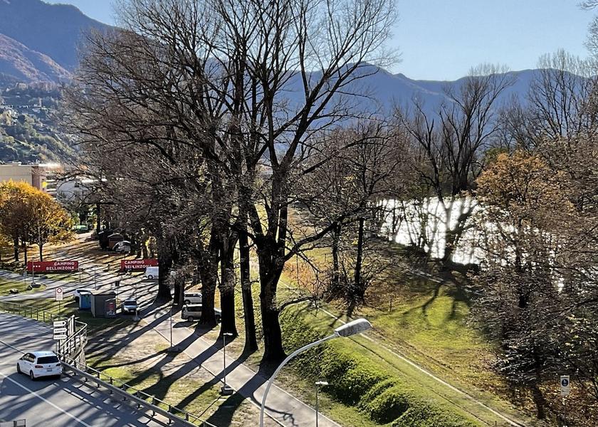Canton of Ticino Bellinzona Exterior