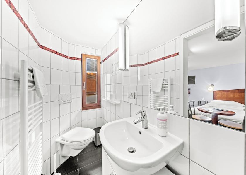 Canton of Fribourg Fribourg Bathroom