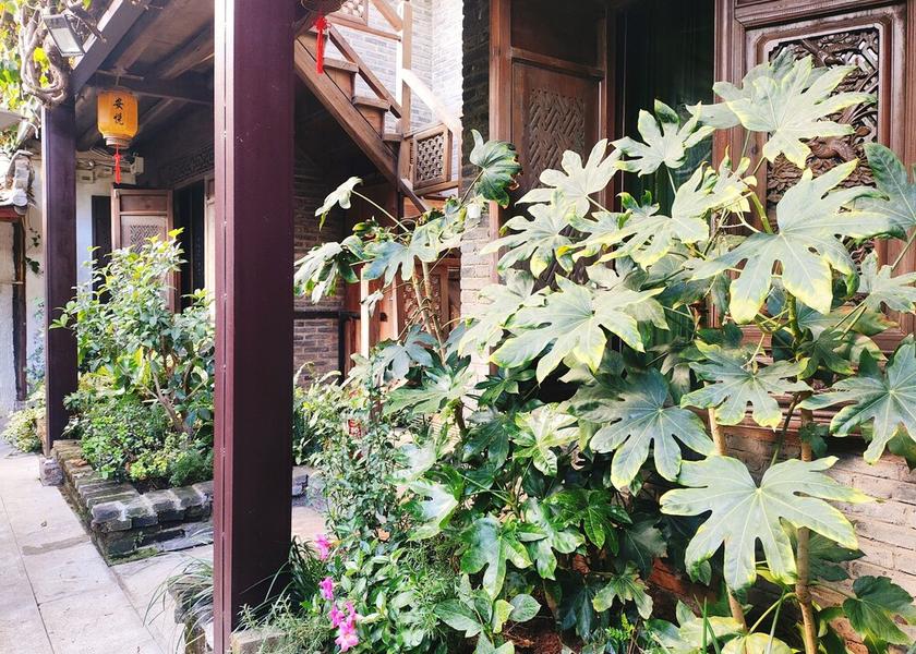 Yunnan Lijiang Room