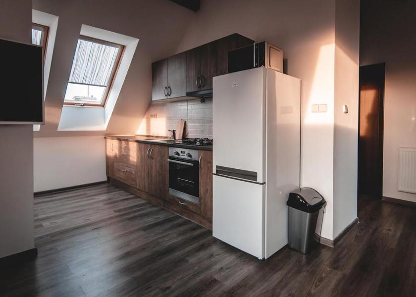 Moravian Silesian (region) Ostrava Penthouse Apartment