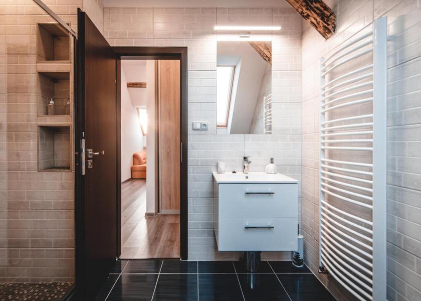 Moravian Silesian (region) Ostrava Penthouse Apartment