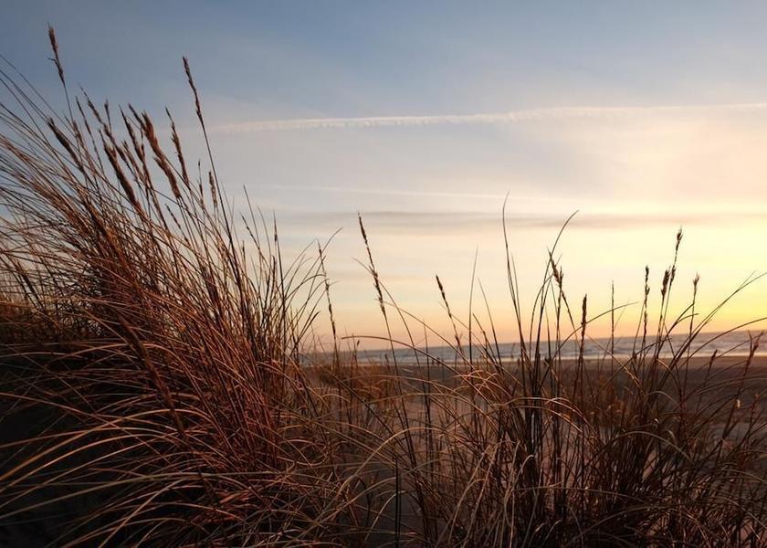 Nordjylland (region) Hirtshals Exterior Detail