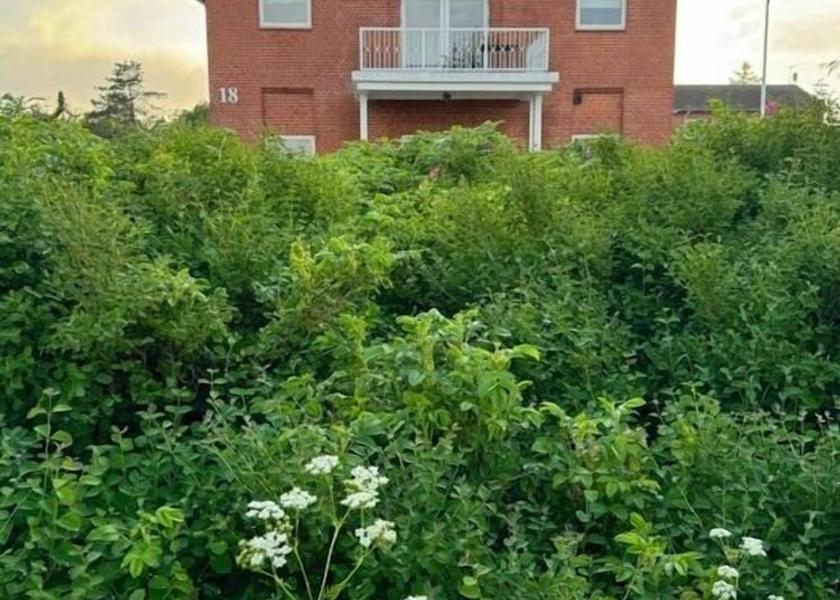 Nordjylland (region) Hirtshals Facade