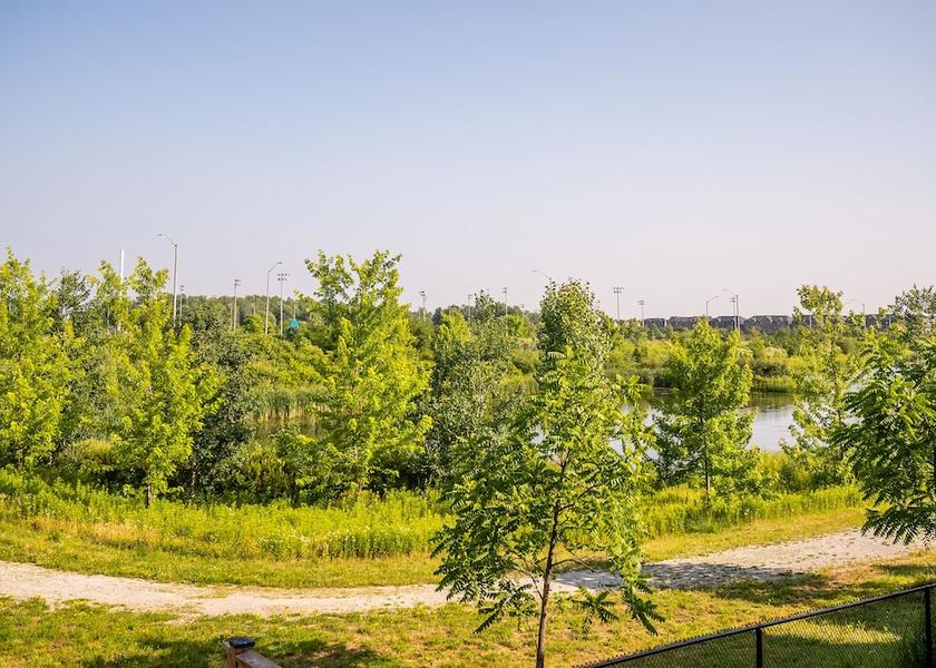 Ontario Brampton View From Room