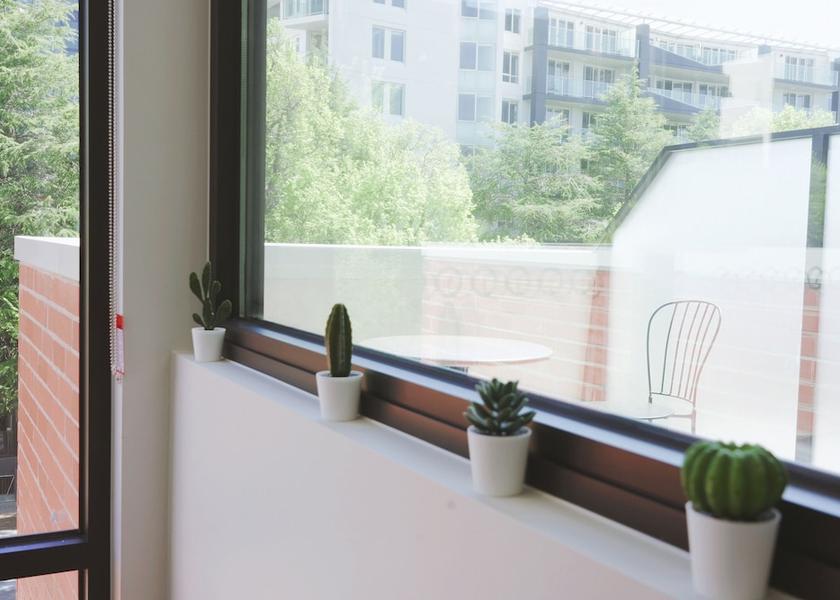 Australian Capital Territory Canberra Interior Entrance