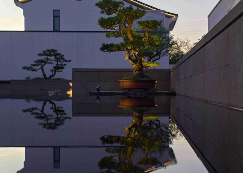 Zhejiang Shaoxing Pool