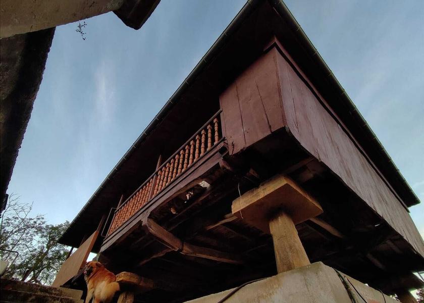 Asturias Carreno Exterior Detail
