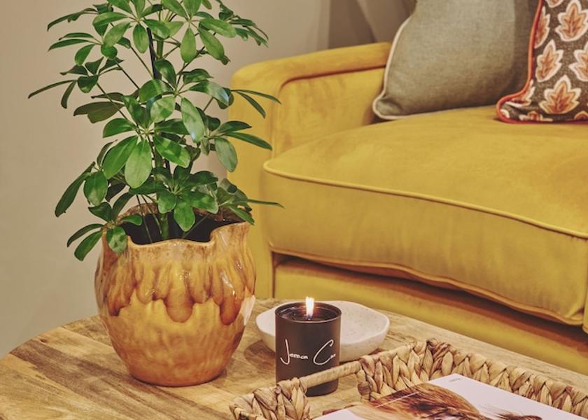 England Solihull Reception