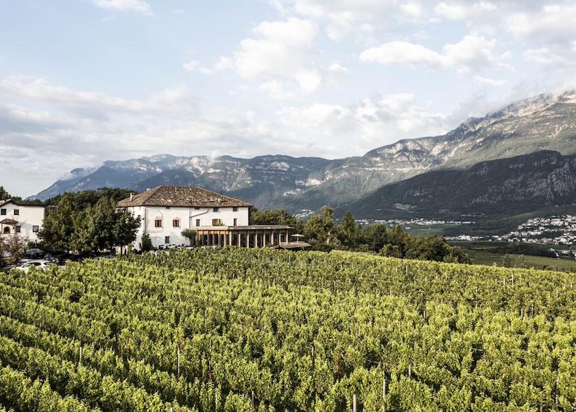 Trentino-Alto Adige Appiano sulla Strada del Vino Primary image