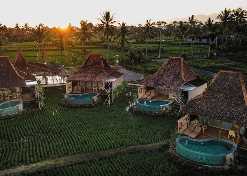 Bali Sukawati View from Property