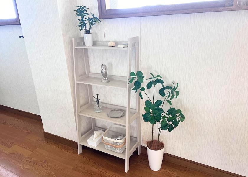 Okinawa (prefecture) Ishigaki Room