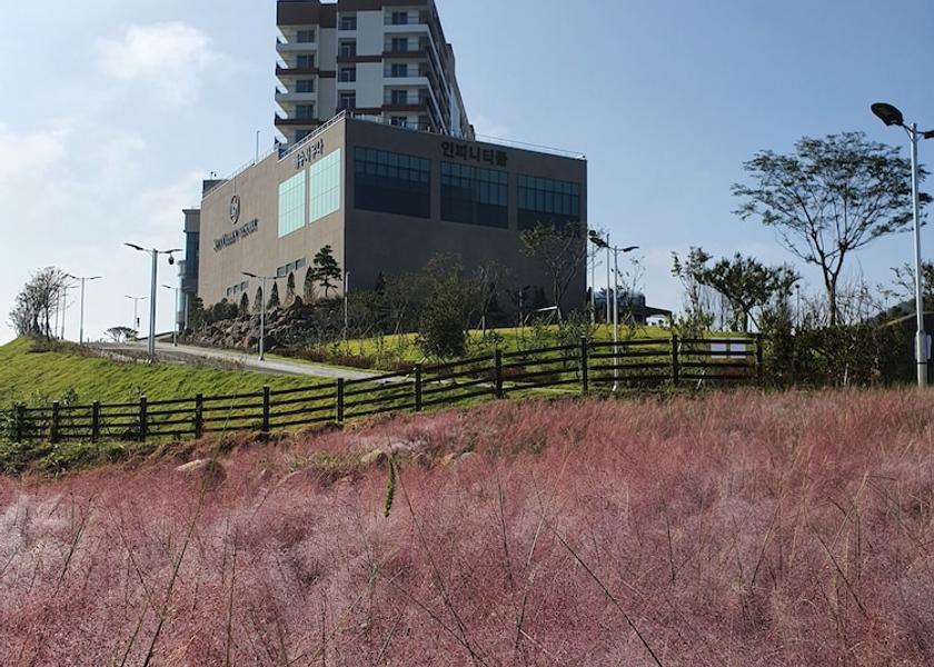 South Jeolla Goheung Exterior