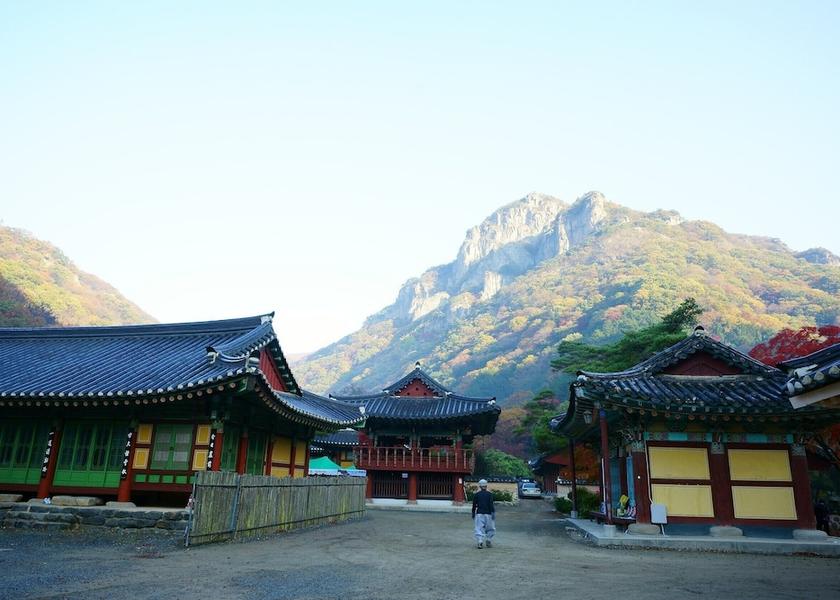 Land View from Property