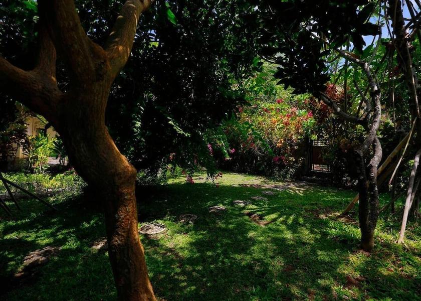 Bali Karangasem Property Grounds
