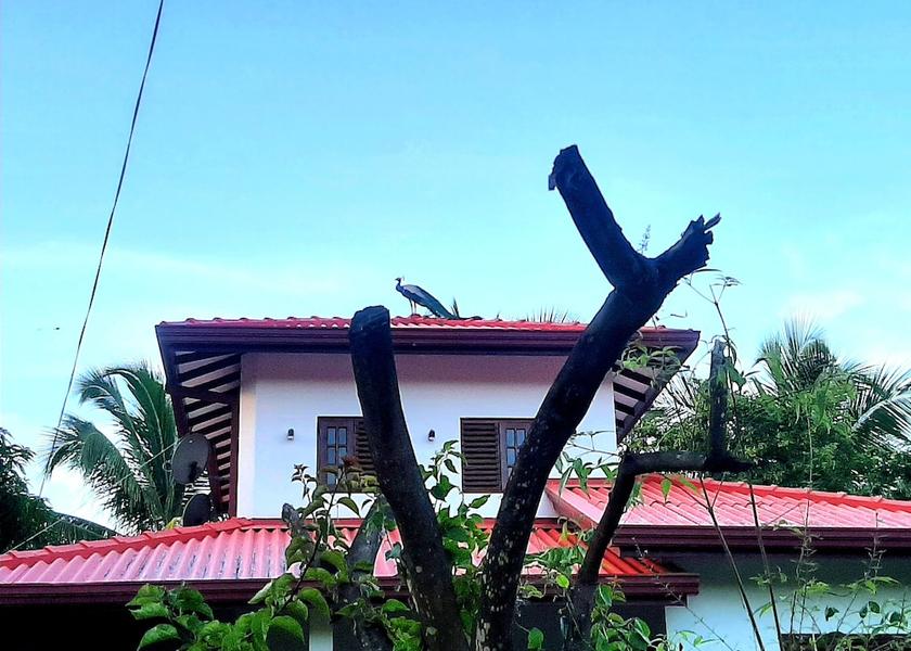 Southern Province Kirinda Facade