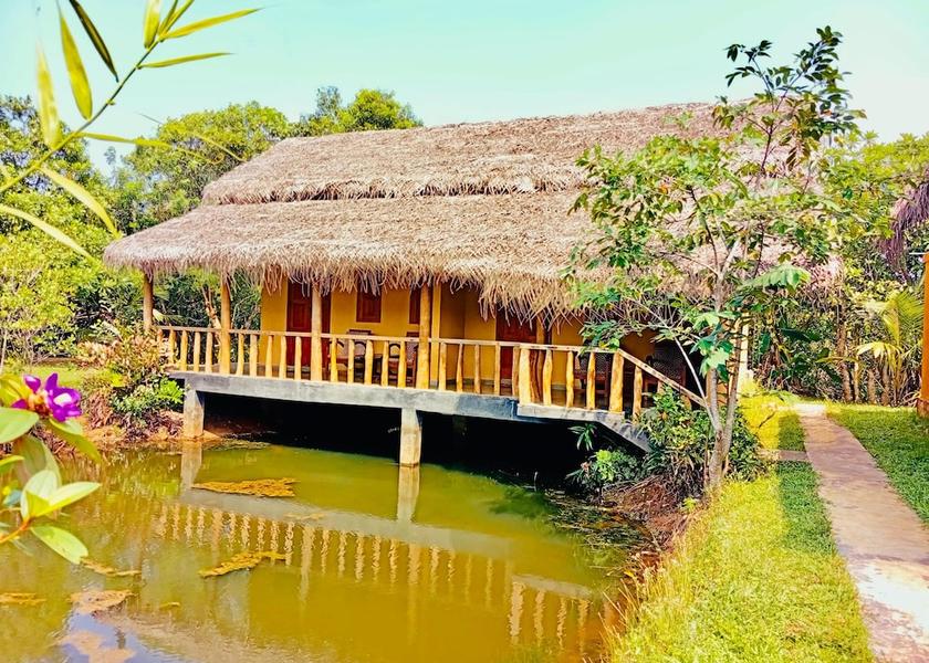 Southern Province Kosgoda Natural pool