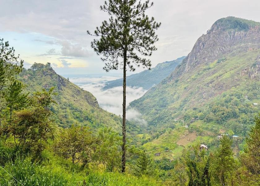 Uva Province Ella View from property