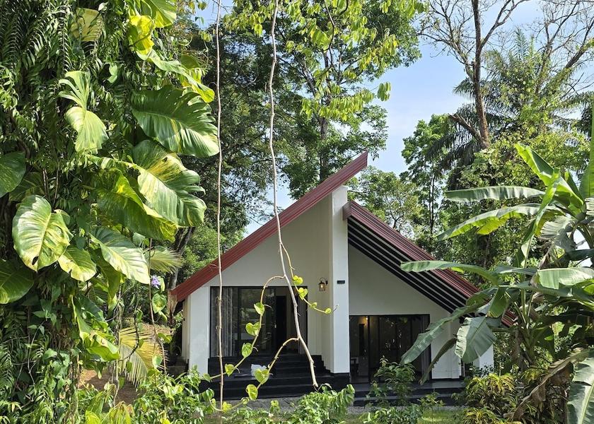 Southern Province Elpitiya Primary image