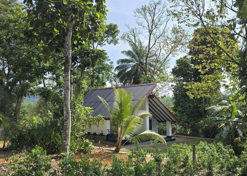 Southern Province Elpitiya Exterior Detail