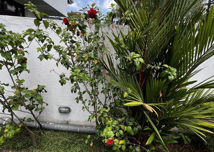 Gampaha District Negombo Garden