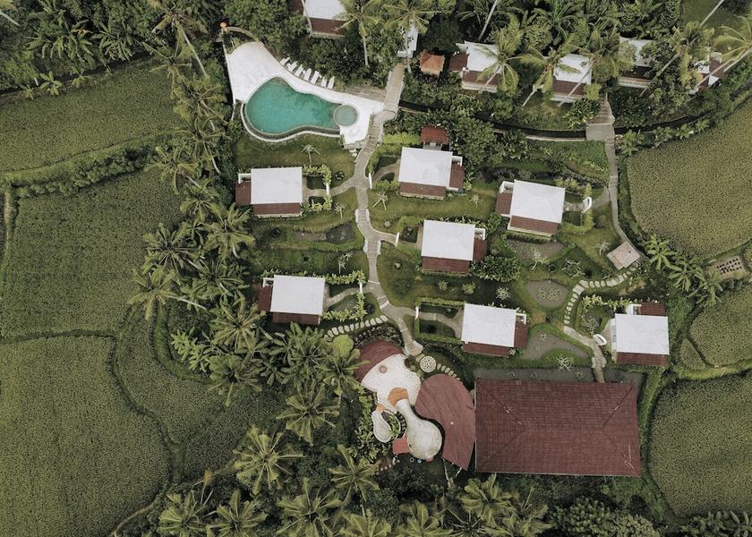 Bali Sukawati Primary image