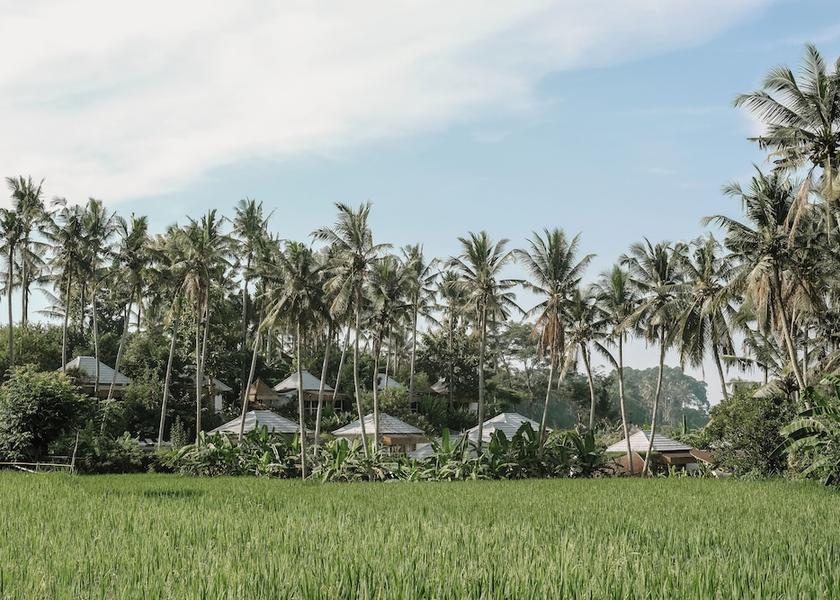 Bali Sukawati Exterior Detail
