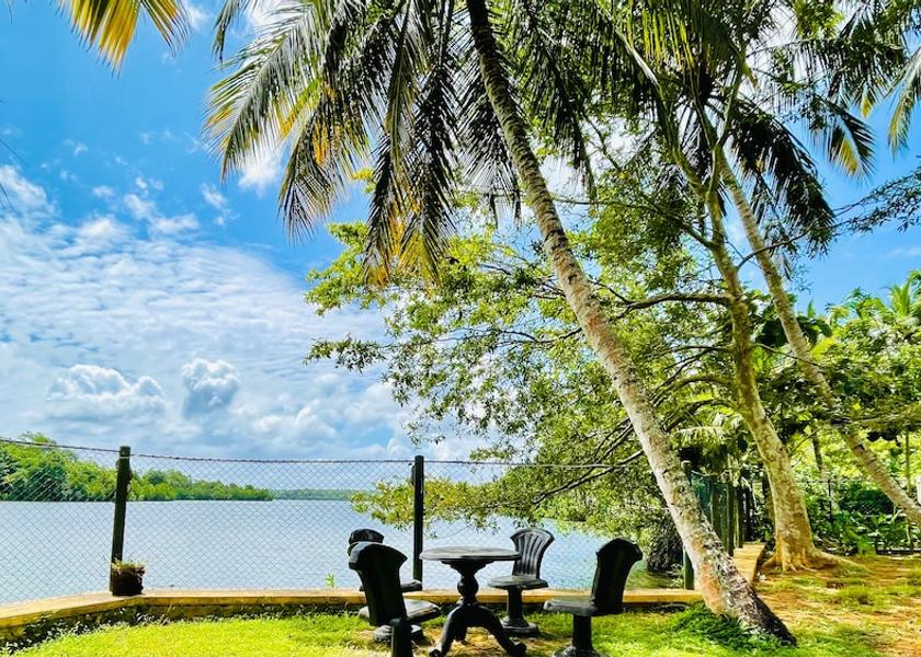 Land View from Property