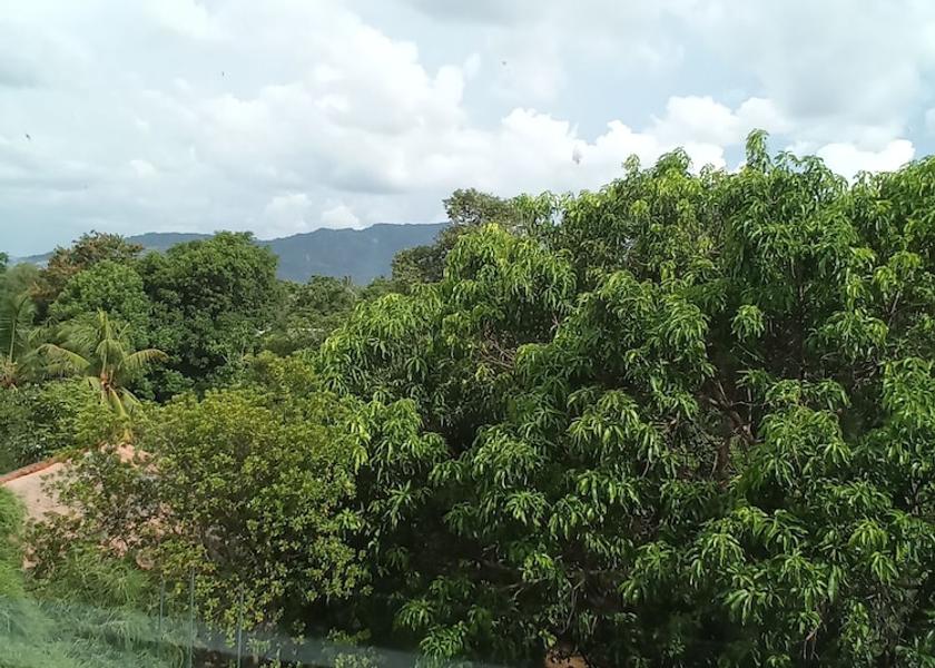 Central Province Dambulla Living area