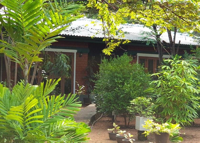 Central Province Sigiriya 