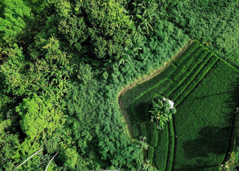 Bali Canggu Exterior Detail