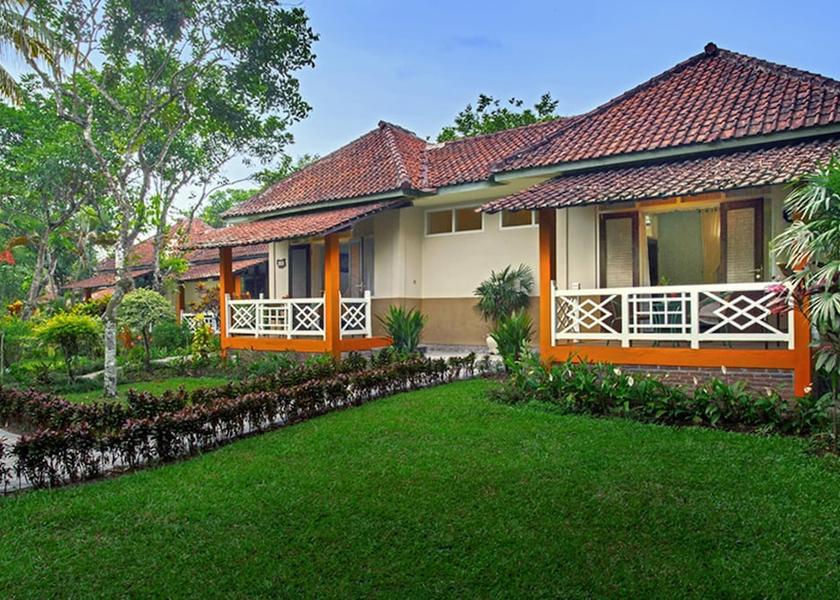 East Java Kalibaru Primary image