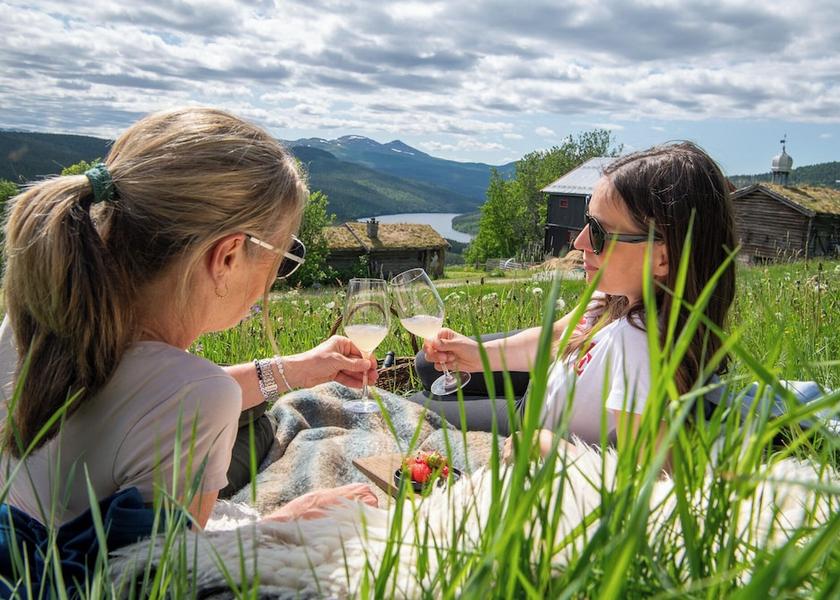 Oppland (county) Nord-Fron Mountain View