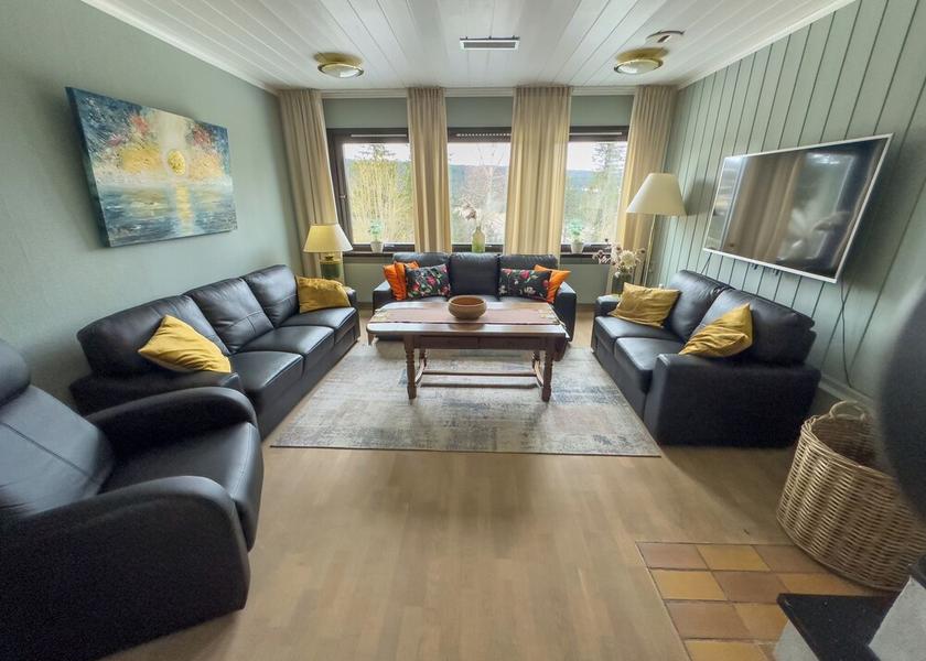 Innlandet Øyer Living Area