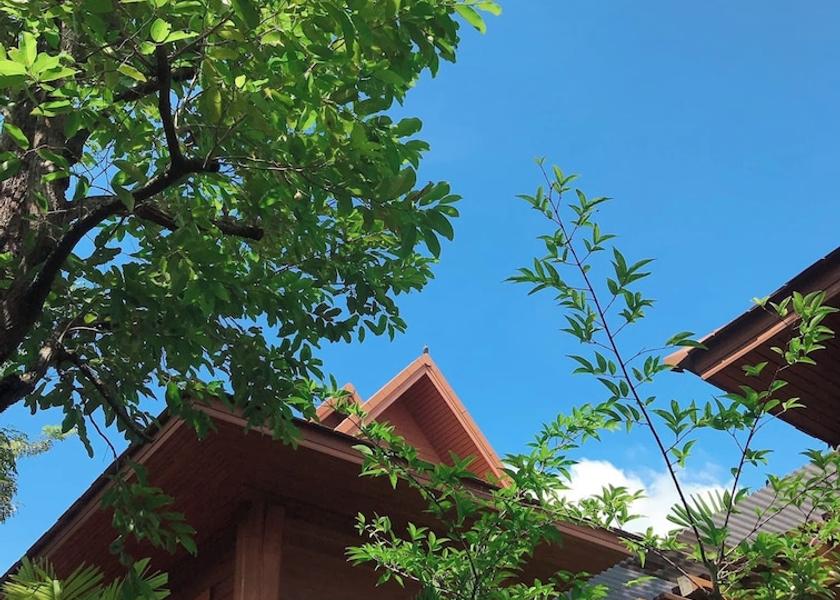 Tak Tak Exterior Detail