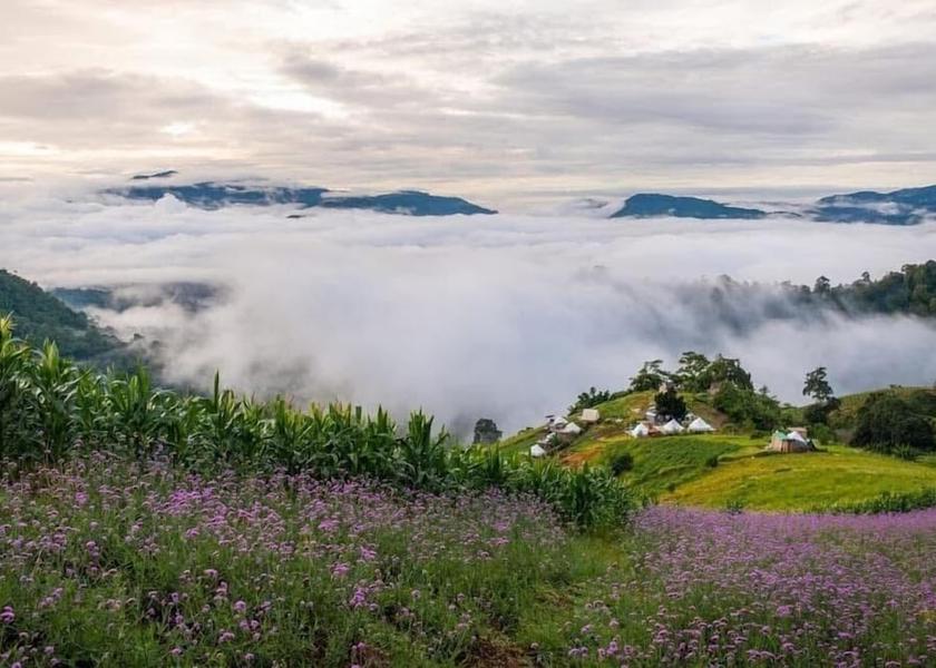 Chiang Mai Province Mae Rim Room