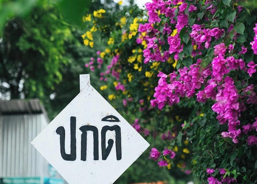 Kanchanaburi Province Sai Yok Ecotours