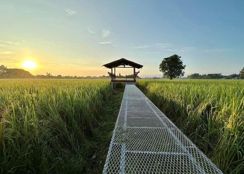 Chiang Mai Province San Pa Thong Garden