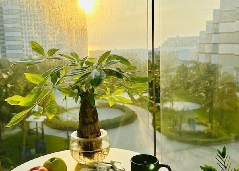 Khanh Hoa Cam Ranh Terrace