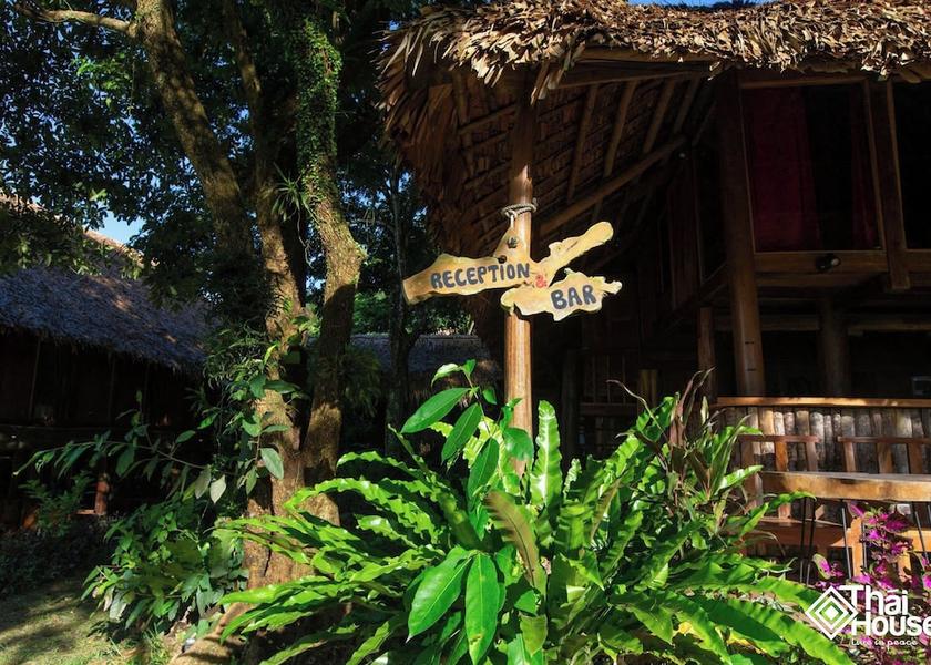 Thanh Hoa Ba Thuoc Terrace