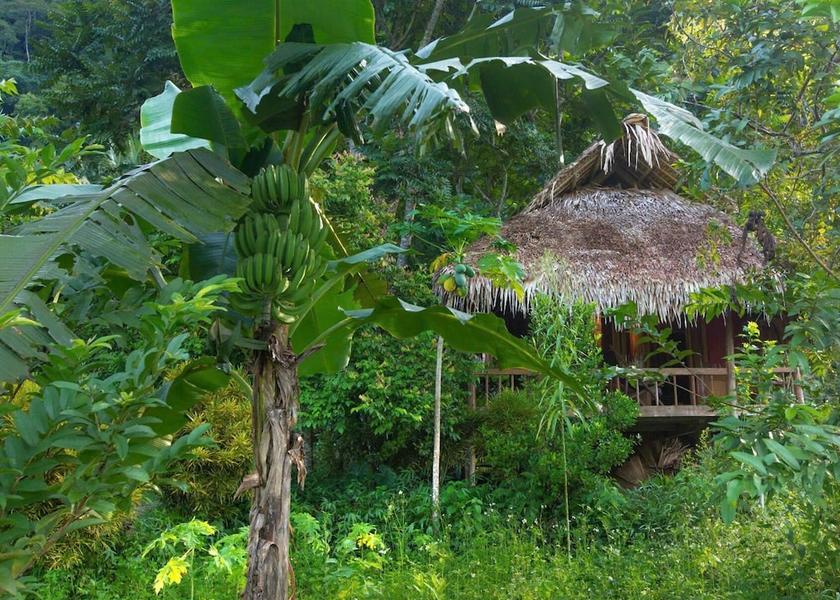 Thanh Hoa Ba Thuoc Facade